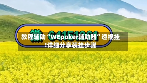 教程辅助“WEpoker辅助器”透视挂!详细分享装挂步骤-第2张图片