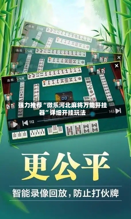 强力推荐“微乐河北麻将万能开挂器	”详细开挂玩法-第2张图片