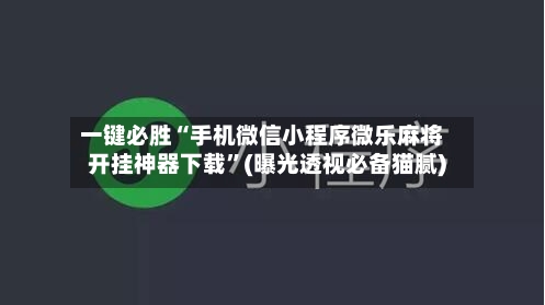 一键必胜“手机微信小程序微乐麻将开挂神器下载”(曝光透视必备猫腻)