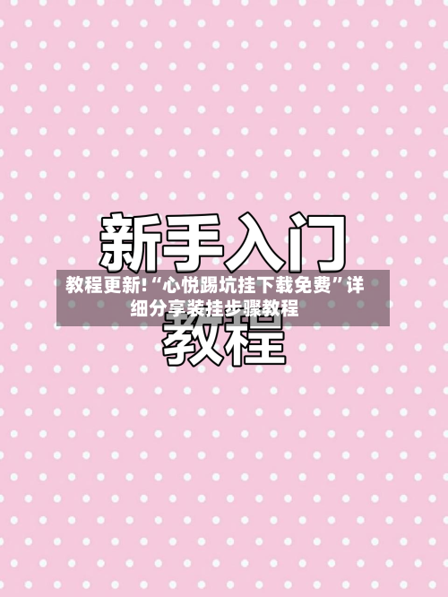 教程更新!“心悦踢坑挂下载免费”详细分享装挂步骤教程