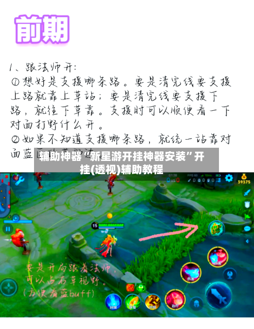 辅助神器“新星游开挂神器安装”开挂(透视)辅助教程-第2张图片