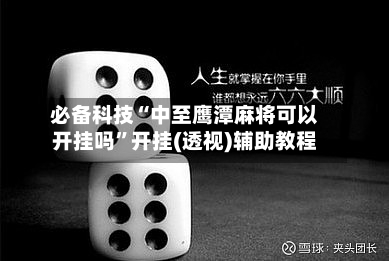 必备科技“中至鹰潭麻将可以开挂吗	”开挂(透视)辅助教程-第2张图片
