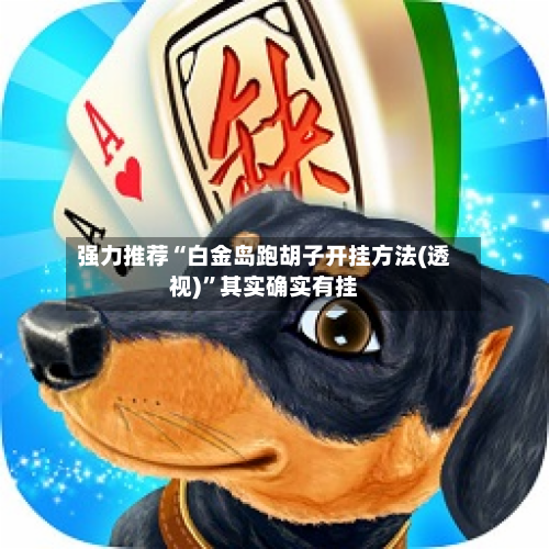 强力推荐“白金岛跑胡子开挂方法(透视)”其实确实有挂-第2张图片