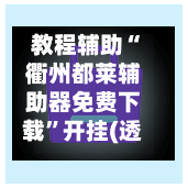 教程辅助“衢州都莱辅助器免费下载	”开挂(透视)辅助-第2张图片
