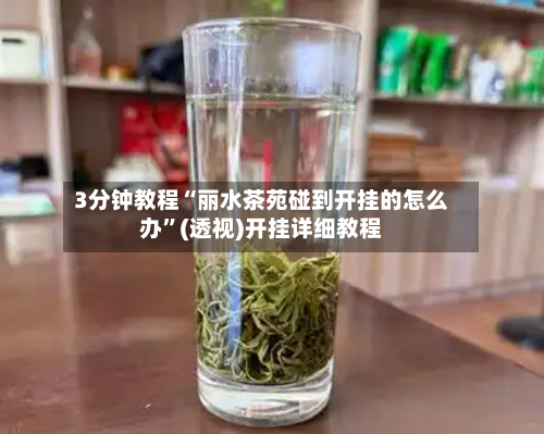 3分钟教程“丽水茶苑碰到开挂的怎么办	”(透视)开挂详细教程-第2张图片