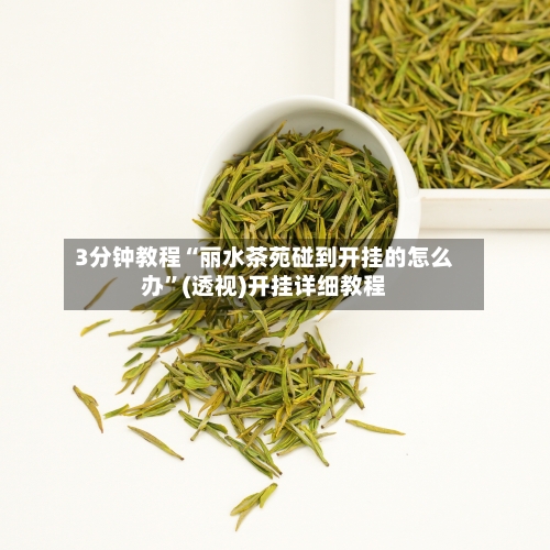 3分钟教程“丽水茶苑碰到开挂的怎么办”(透视)开挂详细教程-第3张图片