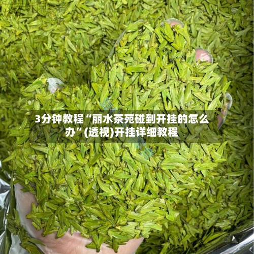 3分钟教程“丽水茶苑碰到开挂的怎么办”(透视)开挂详细教程