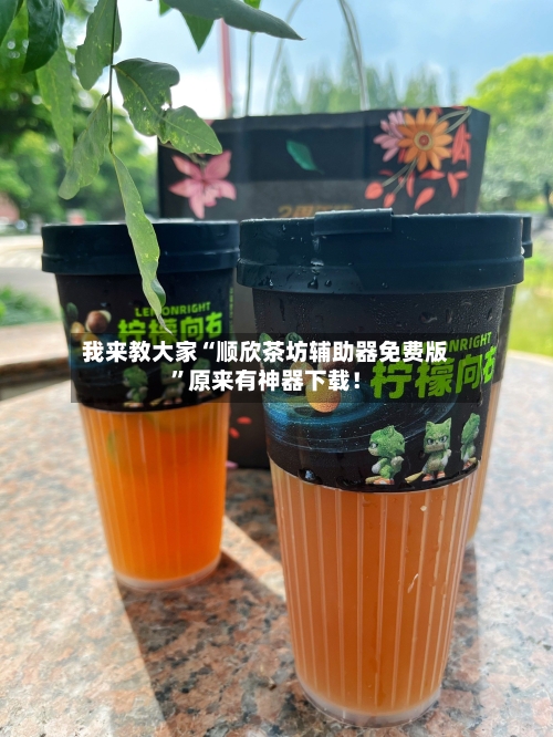 我来教大家“顺欣茶坊辅助器免费版”原来有神器下载！-第2张图片