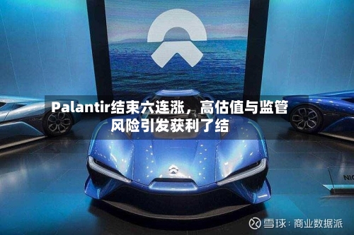 Palantir结束六连涨	，高估值与监管风险引发获利了结-第3张图片