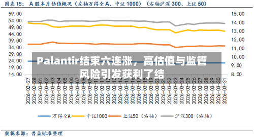 Palantir结束六连涨，高估值与监管风险引发获利了结-第2张图片