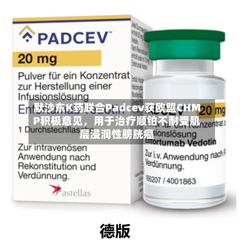 默沙东K药联合Padcev获欧盟CHMP积极意见，用于治疗顺铂不耐受肌层浸润性膀胱癌