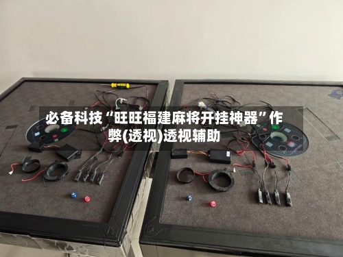 必备科技“旺旺福建麻将开挂神器	”作弊(透视)透视辅助-第3张图片