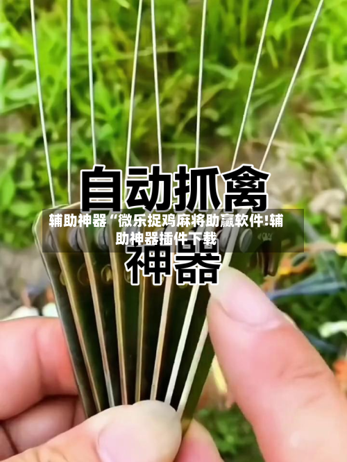 辅助神器“微乐捉鸡麻将助赢软件!辅助神器插件下载