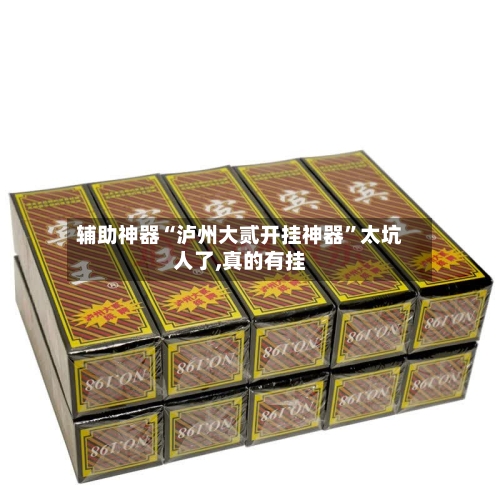 辅助神器“泸州大贰开挂神器	”太坑人了,真的有挂-第2张图片