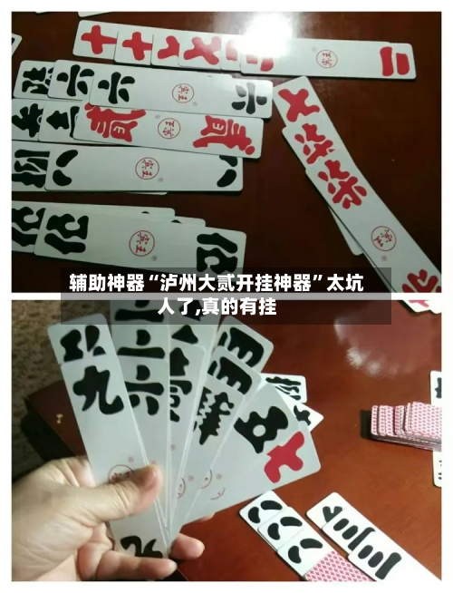 辅助神器“泸州大贰开挂神器”太坑人了,真的有挂-第3张图片