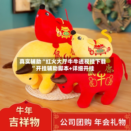 真实辅助“红火大厅牛牛透视挂下载”开挂辅助脚本+详细开挂
