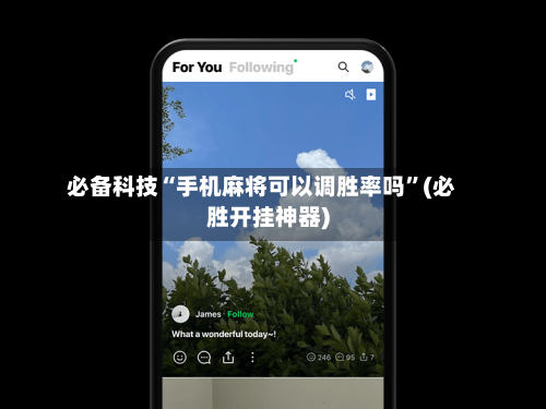 必备科技“手机麻将可以调胜率吗”(必胜开挂神器)-第3张图片