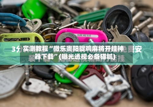 实测教程“微乐贵阳捉鸡麻将开挂神器下载”(曝光透视必备猫腻)-第2张图片