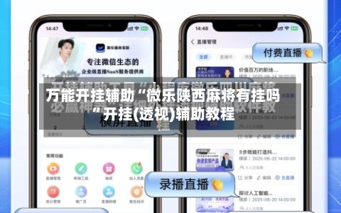 万能开挂辅助“微乐陕西麻将有挂吗”开挂(透视)辅助教程-第3张图片
