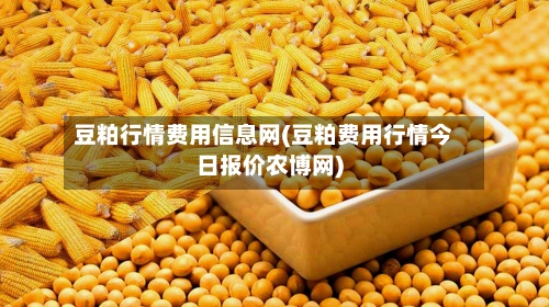 豆粕行情费用信息网(豆粕费用行情今日报价农博网)