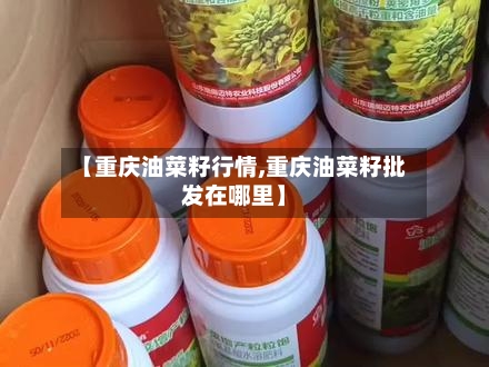 【重庆油菜籽行情,重庆油菜籽批发在哪里】-第3张图片