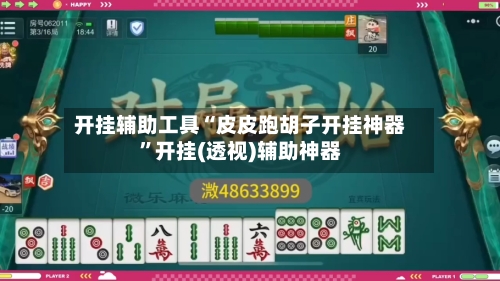 开挂辅助工具“皮皮跑胡子开挂神器”开挂(透视)辅助神器