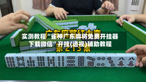 实测教程“雀神广东麻将免费开挂器下载微信	”开挂(透视)辅助教程-第2张图片