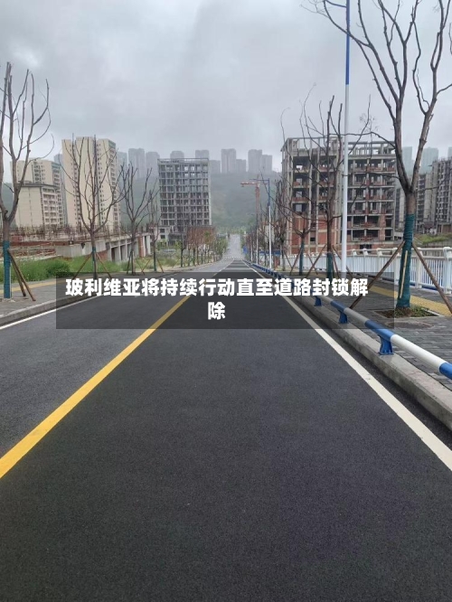 玻利维亚将持续行动直至道路封锁解除