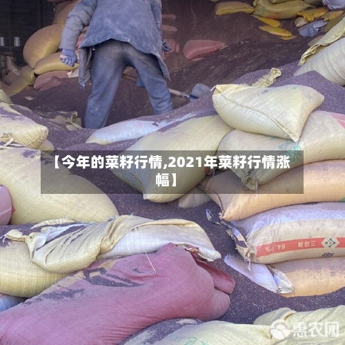 【今年的菜籽行情,2021年菜籽行情涨幅】