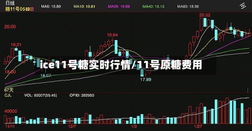 ice11号糖实时行情/11号原糖费用