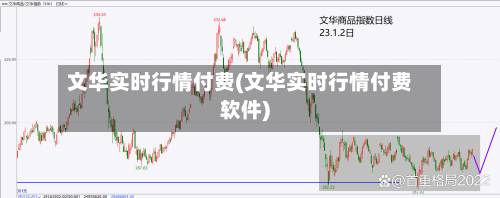文华实时行情付费(文华实时行情付费软件)