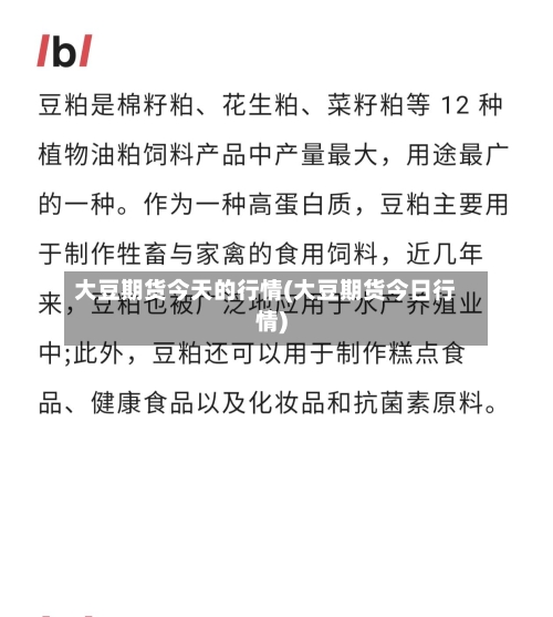 大豆期货今天的行情(大豆期货今日行情)