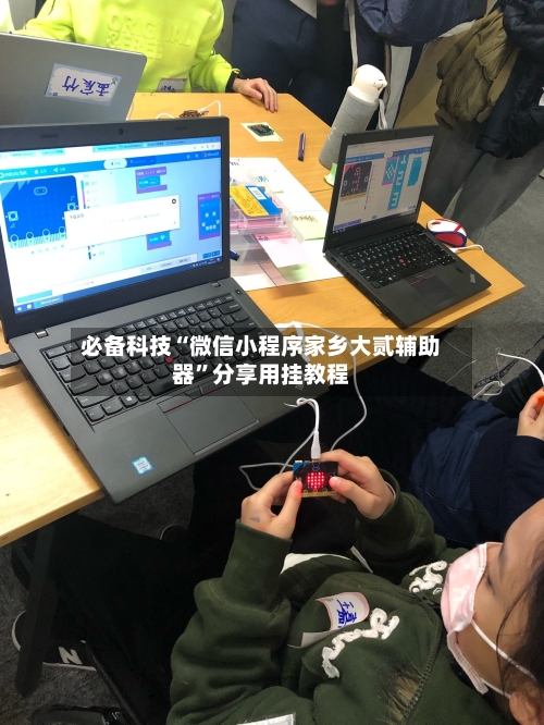 必备科技“微信小程序家乡大贰辅助器”分享用挂教程