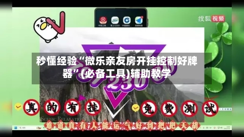 秒懂经验“微乐亲友房开挂控制好牌器”(必备工具)辅助教学-第2张图片