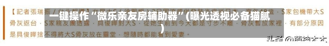 一键操作“微乐亲友房辅助器”(曝光透视必备猫腻)