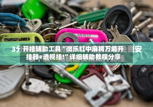 开挂辅助工具“微乐红中麻将万能开挂器+透视挂!”详细辅助教程分享