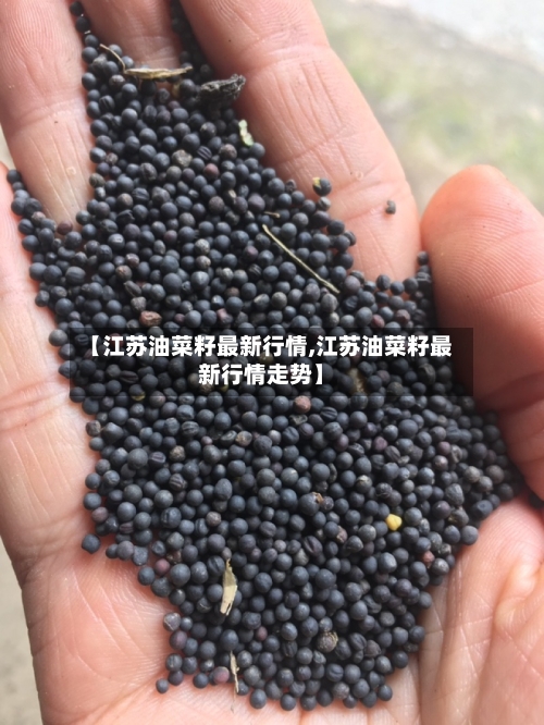 【江苏油菜籽最新行情,江苏油菜籽最新行情走势】-第2张图片