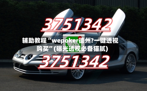 辅助教程“wepoker德州?一键透视购买”(曝光透视必备猫腻)-第2张图片