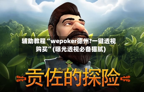 辅助教程“wepoker德州?一键透视购买”(曝光透视必备猫腻)-第3张图片