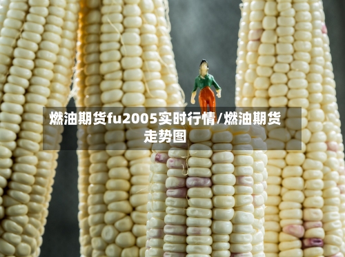 燃油期货fu2005实时行情/燃油期货走势图-第2张图片