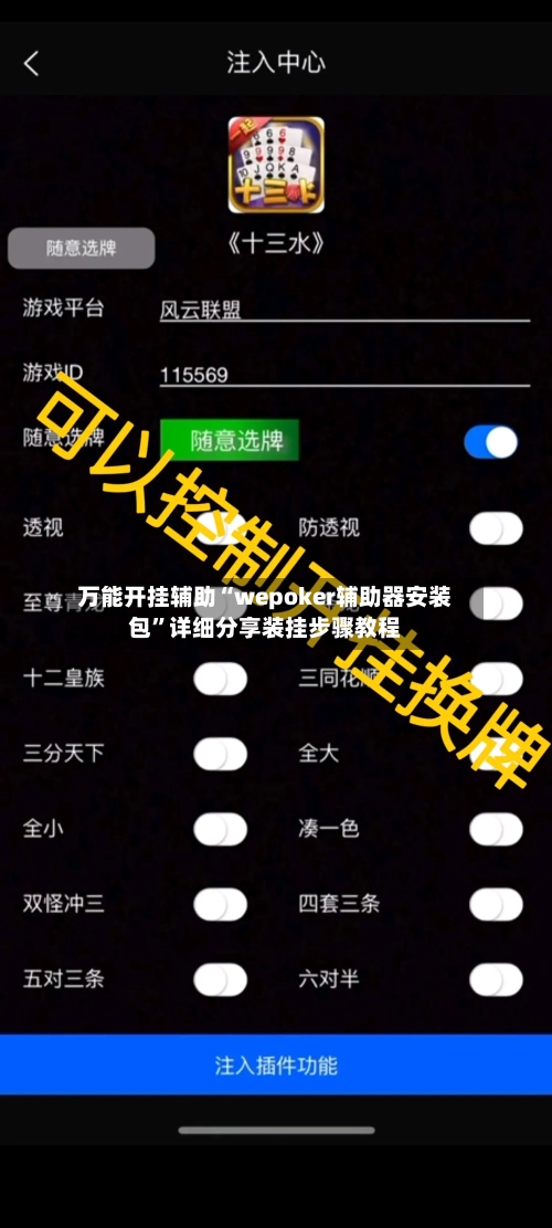 万能开挂辅助“wepoker辅助器安装包”详细分享装挂步骤教程-第3张图片
