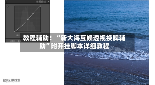教程辅助！“新大海互娱透视换牌辅助”附开挂脚本详细教程-第2张图片