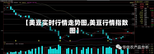 【美豆实时行情走势图,美豆行情指数图】