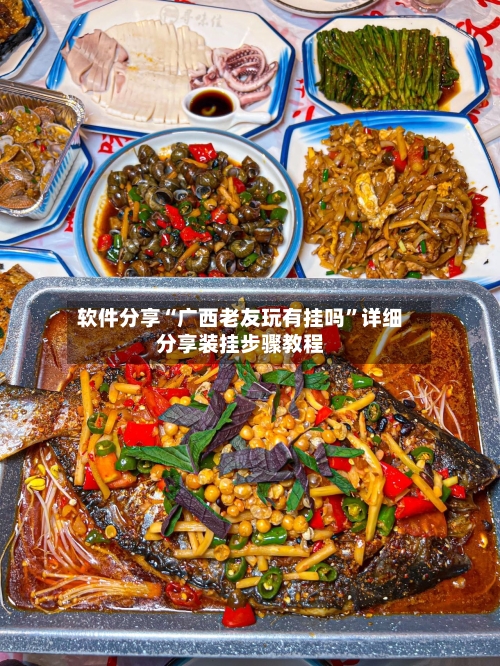 软件分享“广西老友玩有挂吗	”详细分享装挂步骤教程-第2张图片