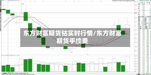 东方财富期货钴实时行情/东方财富期货手续费-第3张图片