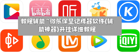 教程辅助“微乐保皇记牌器软件(辅助神器)开挂详细教程-第1张图片