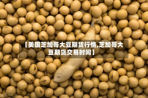 【美国芝加哥大豆期货行情,芝加哥大豆期货交易时间】