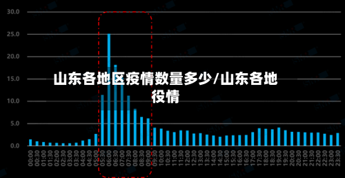 山东各地区疫情数量多少/山东各地役情