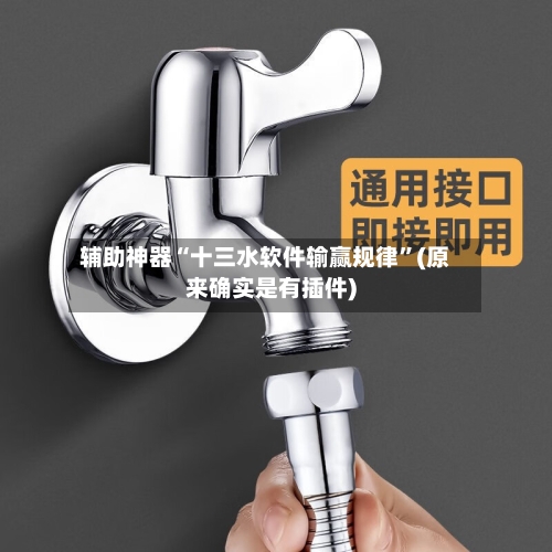 辅助神器“十三水软件输赢规律	”(原来确实是有插件)-第2张图片
