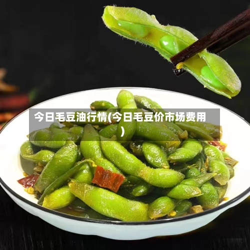 今日毛豆油行情(今日毛豆价市场费用)-第2张图片